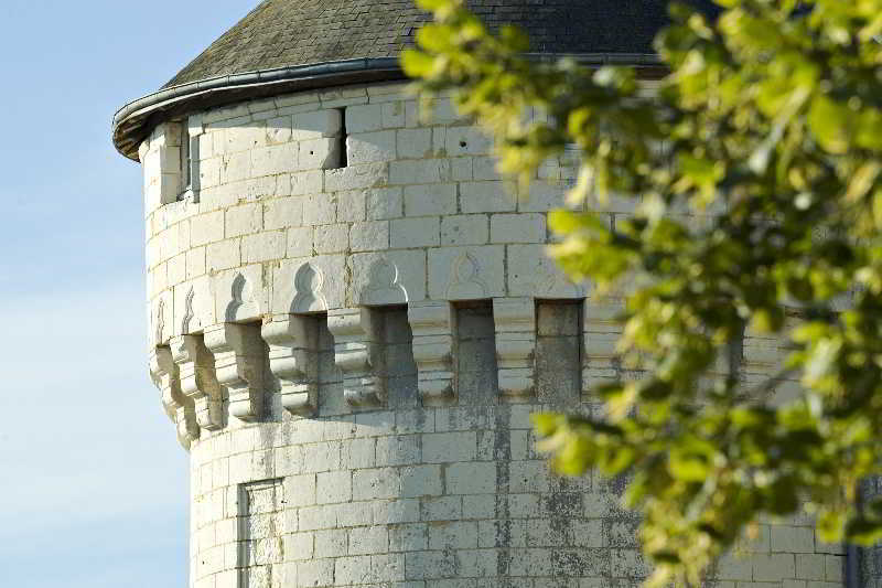 Chateau De Marcay Bagian luar foto