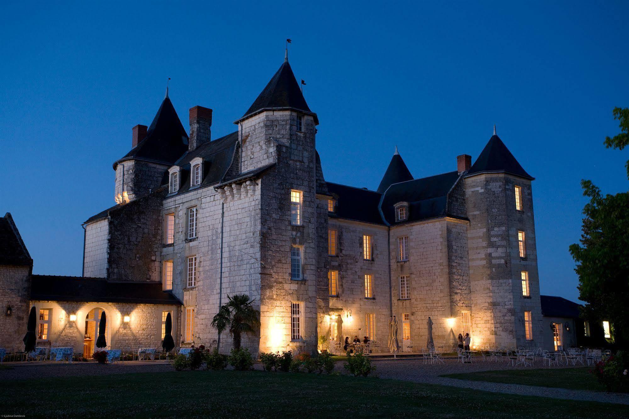 Chateau De Marcay Bagian luar foto
